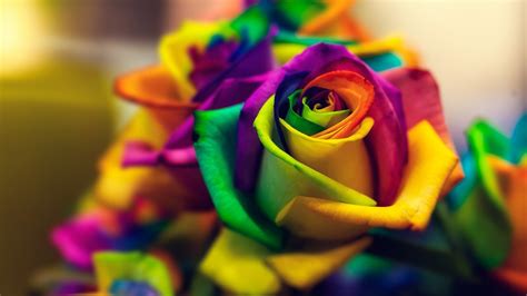 Rainbow Flower Wallpaper (58+ images)