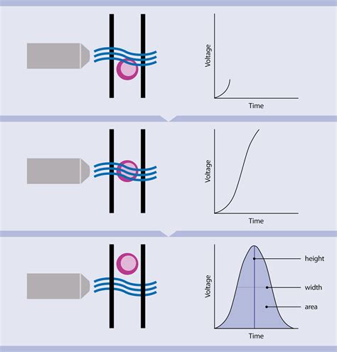 Flow cytometry basics | Miltenyi Biotec | Great Britain