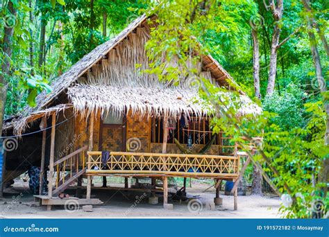 A Small Bamboo Birdhouse On The Tree Royalty-Free Stock Image ...