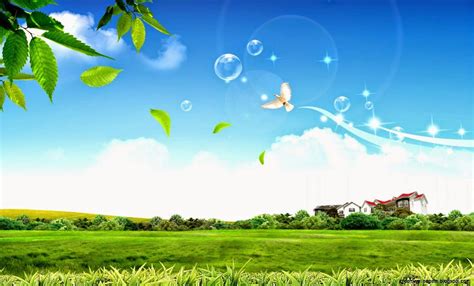 View 14 Nature Zoom Virtual Background Images Download Free - quoteqdebt