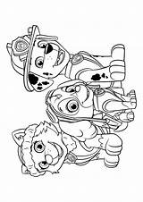 Cool Winsome Free Printable Paw Patrol Coloring Pages Best Of With  sketch template