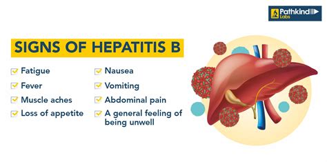 Defending Against Hepatitis B: Causes, Symptoms, Prevention