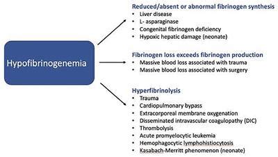 Frontiers | Pediatric Fibrinogen PART II—Overview of Indications for Fibrinogen Use in ...