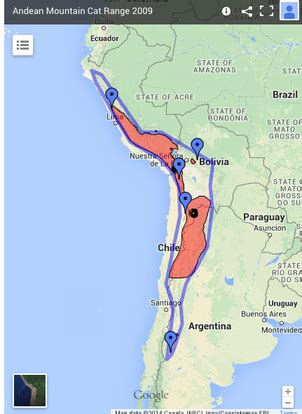 Geographic Range and Habitat - Andean Cat