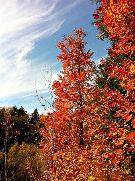 fall color photo essay Porcupine Mountains in Michigan