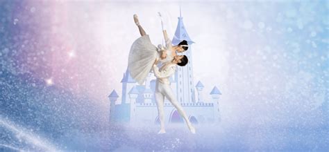 Dance Appreciation 2023: Cinderella Introduction | Singapore Events