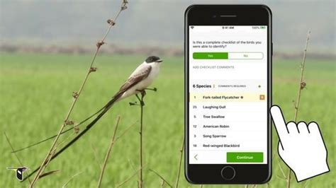 eBird App Basics, January 20 2022 | Online Event | AllEvents.in