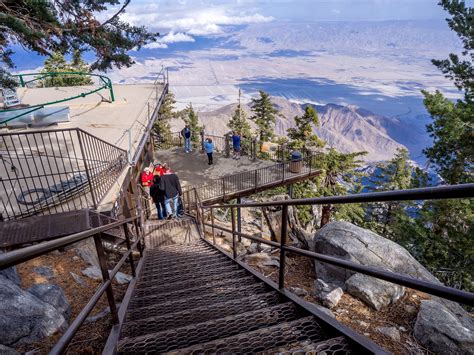 Discover the Palm Springs Aerial Tramway - The Willows