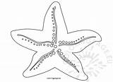 Free Printable Starfish Coloring Pages Coloring sketch template