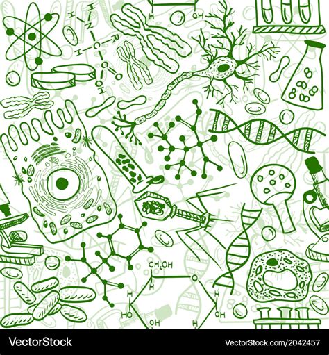 Biology drawings Royalty Free Vector Image - VectorStock