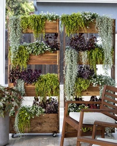 Creating Vertical Gardens With Succulents on Rooftops: Maximizing Space ...