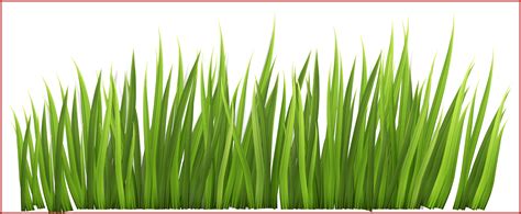 Free Cartoon Grass Transparent, Download Free Cartoon Grass Transparent ...