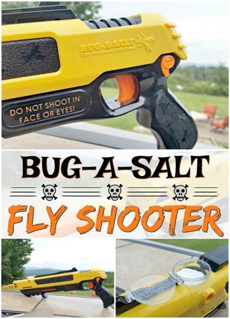 The Best Fly Elimnator—Bug a Salt Gun | Scrappy Geek