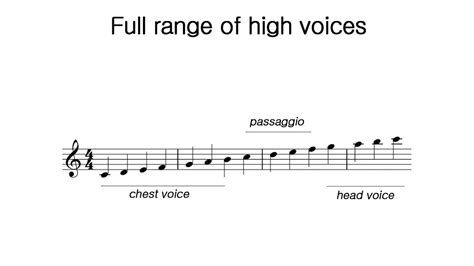 Chest Voice, Head, Passaggio, Falsetto (Ranges & Registers PART 1 ...