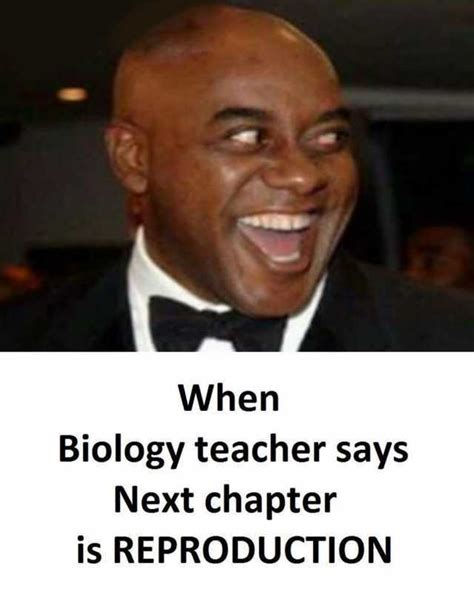 Biology Fanatics Get Ready - These 15 Funniest Biology Memes Will Leave ...