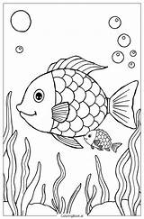 40 fish coloring Pages Free PDF & PNG Printables sketch template