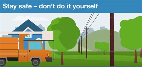 FPL | Trees and Power Line Safety