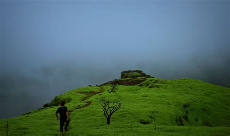 Shrivardhan Fort | Scenic, Western ghats, Sahyadri mountains