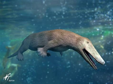 Ambulocetus natans | Whale, Prehistoric animals, Extinct animals