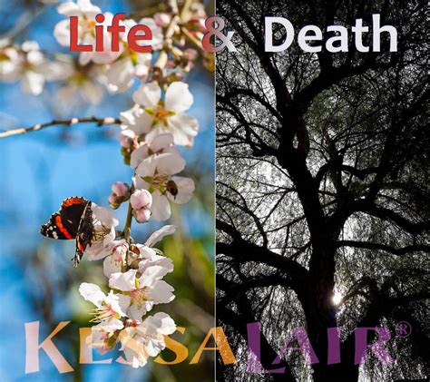 Life And Death Poem — KessaLair