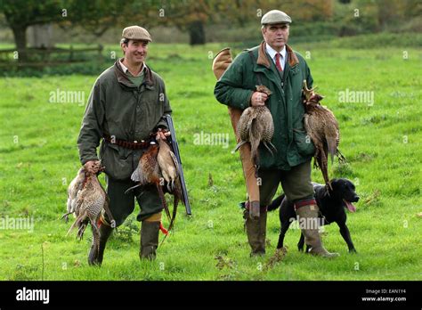 Pheasant Hunting English