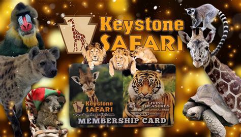 Keystone Safari