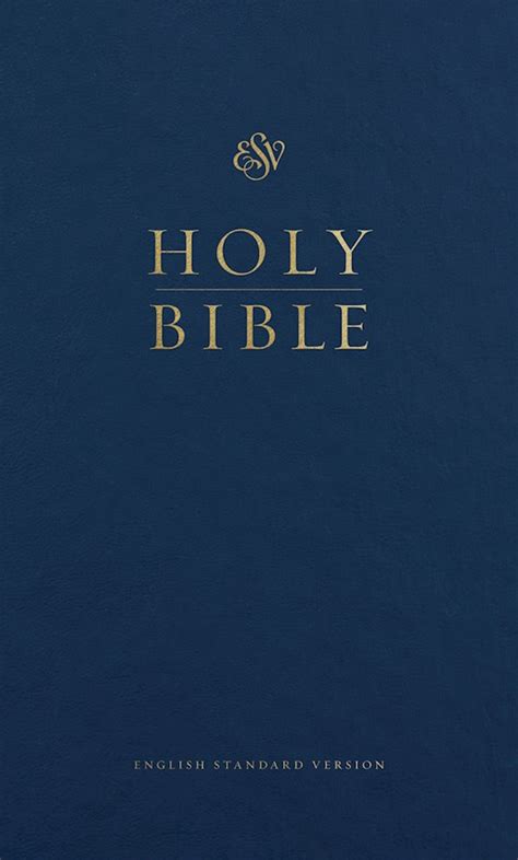 Anchor Up: ESV Pew Bible-Blue Hardcover - By ESV: Bible