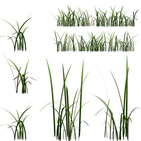 Grass Texture Png