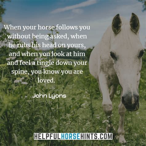 Good Horse Quotes And Sayings