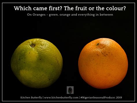 Orange - Which Came First? The Fruit or the Colour? - Kitchen Butterfly