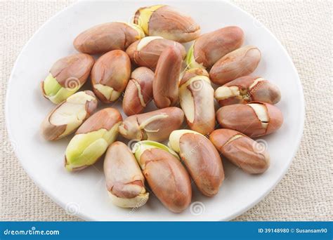 Jack fruit seeds stock photo. Image of delicious, natural - 39148980