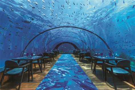 5.8 Undersea Restaurant, Hurawalhi Island Resort, Maldives | TTGmice