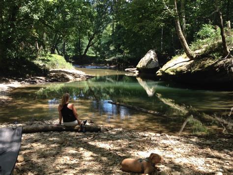 Red River Gorge Camping | Ultimate 2020 Guide | Drivin' & Vibin'