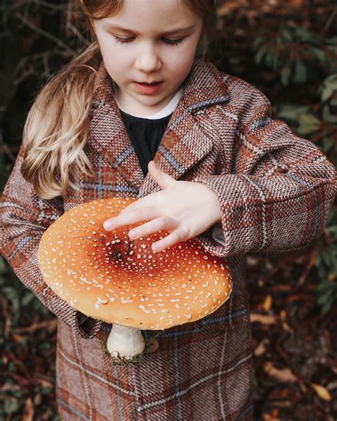 Now that’s a mushroom | Alice in wonderland mushroom, Alice in ...