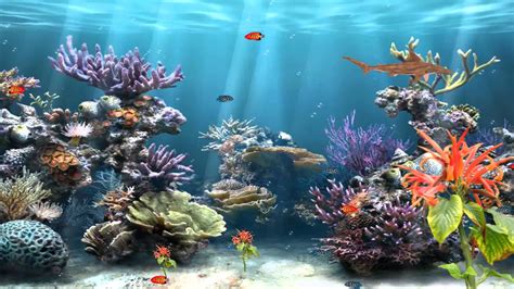 10 Latest Finding Nemo Ocean Background FULL HD 1920×1080 For PC Background 2020