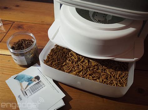 Grow your own edible mealworms in a desktop hive | Engadget