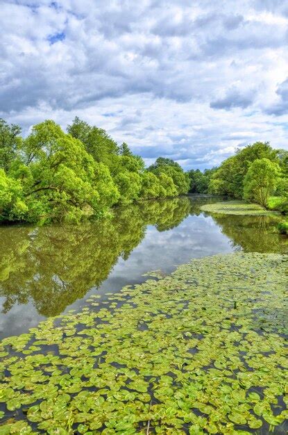 Premium Photo | Fulda river in aueweiher park in fulda hessen germany