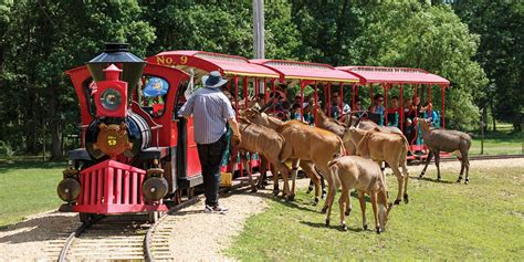 Timbavati Wildlife Park - Wisconsin Dells Family Attraction