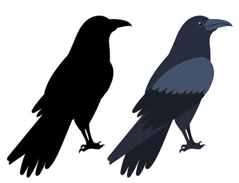 Premium Vector | Crow flat design isolated on white background vector