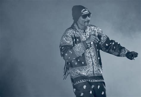 Concert Photos: Snoop Dogg at Family Arena - Review St. Louis