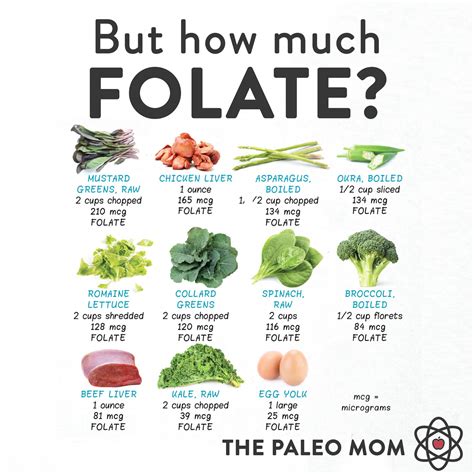 Foods high in folate – Artofit