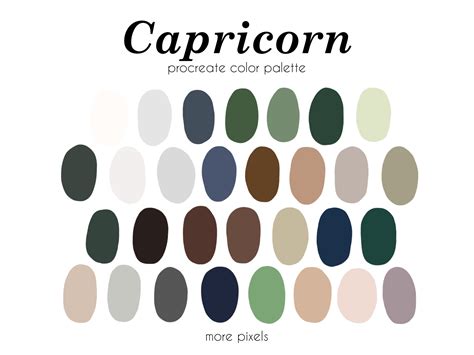 Capricorn Procreate Color Palette, Zodiac Color Palette, Hex Code, Ipad ...