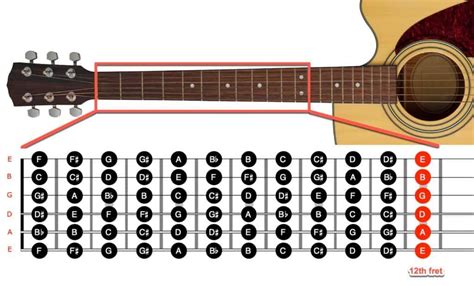 How to Memorize the Notes on a Guitar Fretboard - A Guide for Beginners ...