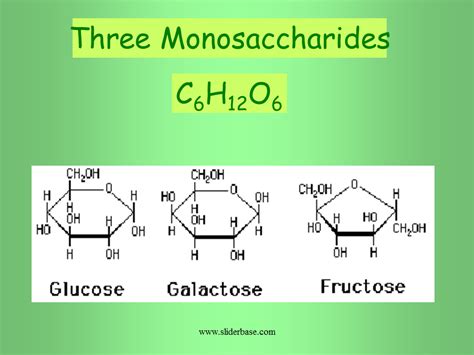 Carbohydrates - Presentation Biology