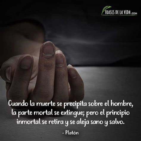 110 Frases Sobre la Muerte | Para reflexionar [Con Imágenes]