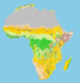 Deforestation, Desertification, and the Drought in West Africa