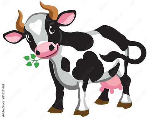 cartoon black cow . Isolated vector illustration Stock Vector | Adobe Stock