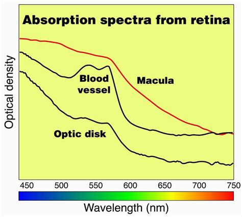 DVIDS - Images - Optical Density Chart