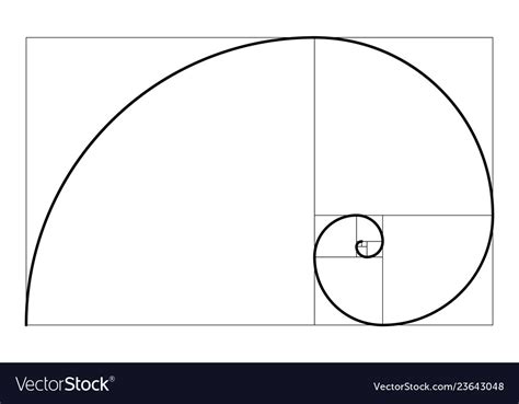 Golden ratio geometric concept fibonacci spiral Vector Image