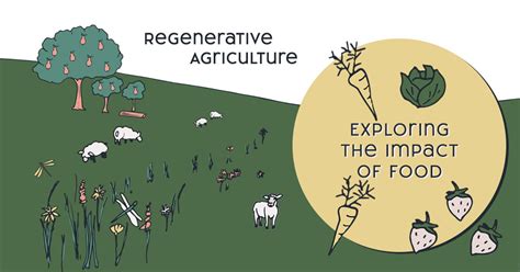 Regenerative Agriculture - The Impact Of Food - Winglewood